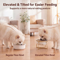 Small Glass Tilted Elevated Cat Dog Bowl Raised Cat Food Water Bowl - Small / White - image 4