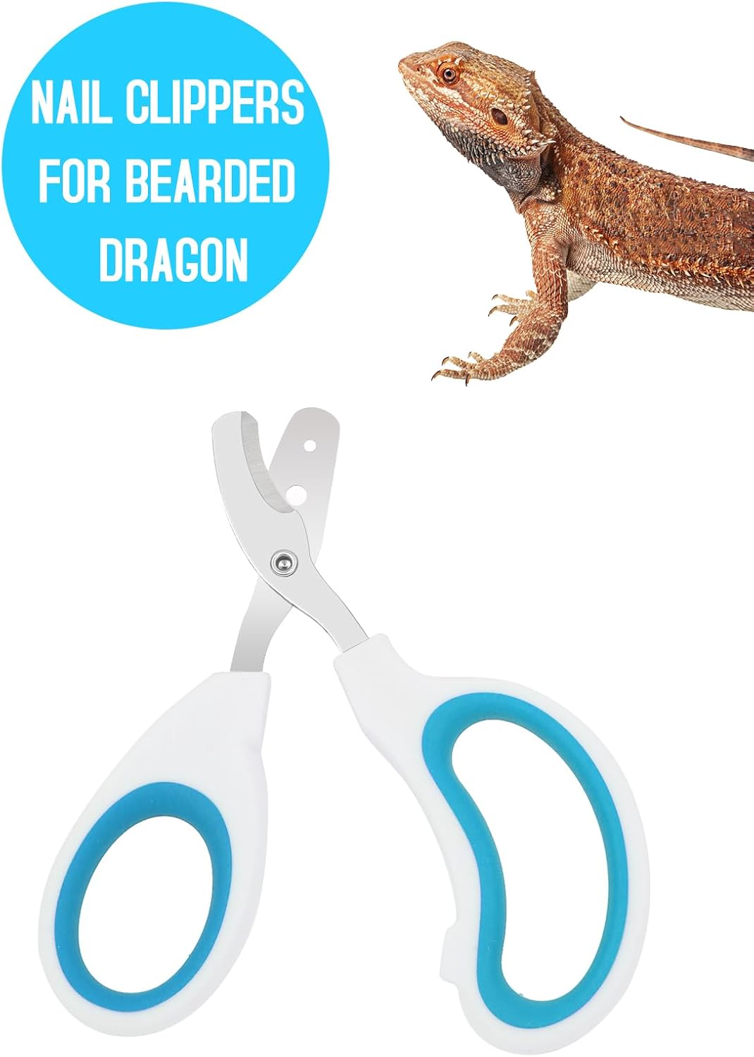 Stainless Steel Bearded Dragon Nail Clippers - Blue - image 2