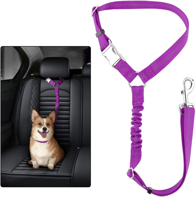 Plutus Pet Dog Seat Belt for Car Headrest - Purple