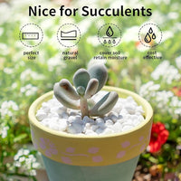 2 lbs White Gravel, 3/8 Inch White Pebbles for Indoor Plants. White Stones for Succulents, Planters, Vase and Outdoor Garden Landscaping