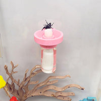 Jumping Spider Water Dispenser, Magnetic Hanging Feeder - Pink / 5ML