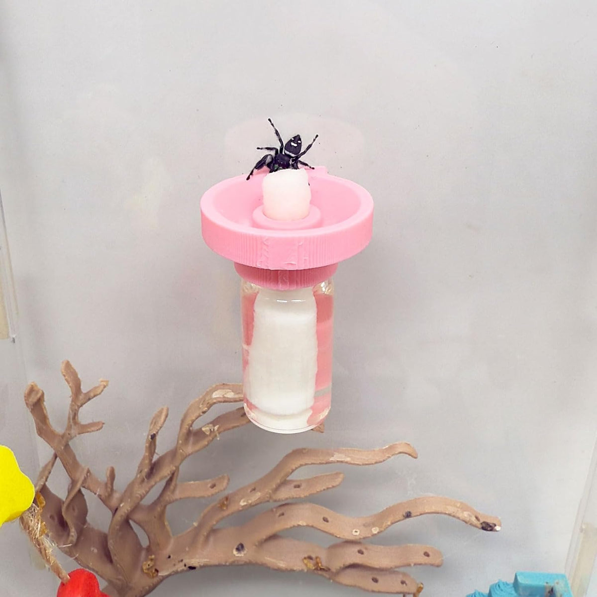 Jumping Spider Water Dispenser, Magnetic Hanging Feeder - Pink / 5ML