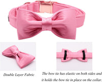 Lionet Paws Bowtie Dog Collar - Large (Pack of 1) / Peach - image 3