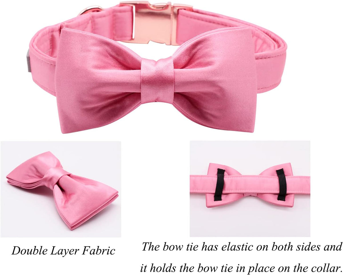 Lionet Paws Bowtie Dog Collar - Large (Pack of 1) / Peach - image 3