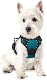 rabbitgoo Dog Harness, No Pull for Large Dogs with 2 Leash Clips - X-Small / Blue Coral