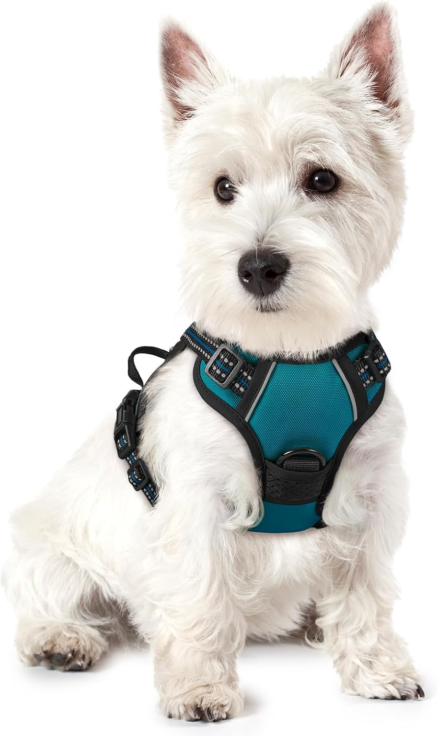 rabbitgoo Dog Harness, No Pull for Large Dogs with 2 Leash Clips - X-Small / Blue Coral