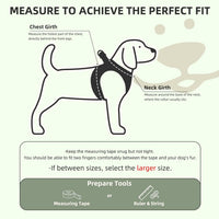 PUPTECK Dog Harness, Collar and Leash Set No Pull for Small Medium Sized – Essentials for Dogs - Yellow Green / XL (CHEST 20"-22") / Patterned Harness Collar and Leash Set - image 2