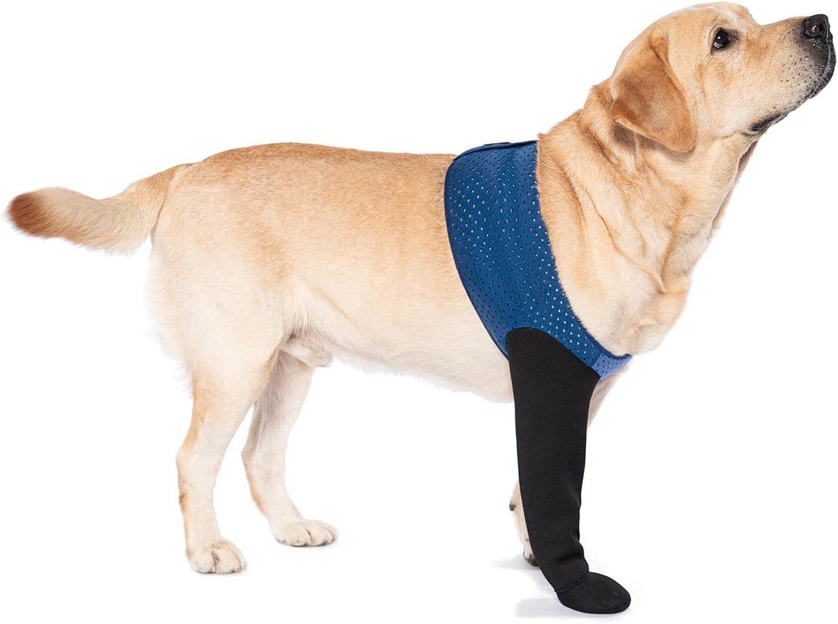 COODEO Dog Socks to Prevent Licking Paws - XL_Right / Blue