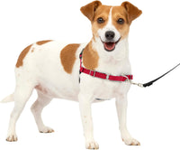 PetSafe Easy Walk Harness, No Pull Dog Harness, Royal Blue - Red/Black / Small / 1 - image 2