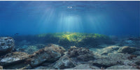 Ocean Floor Fish Tank Backdrop Underwater Stone Aquarium Backdrop - 48x18in/120x45cm