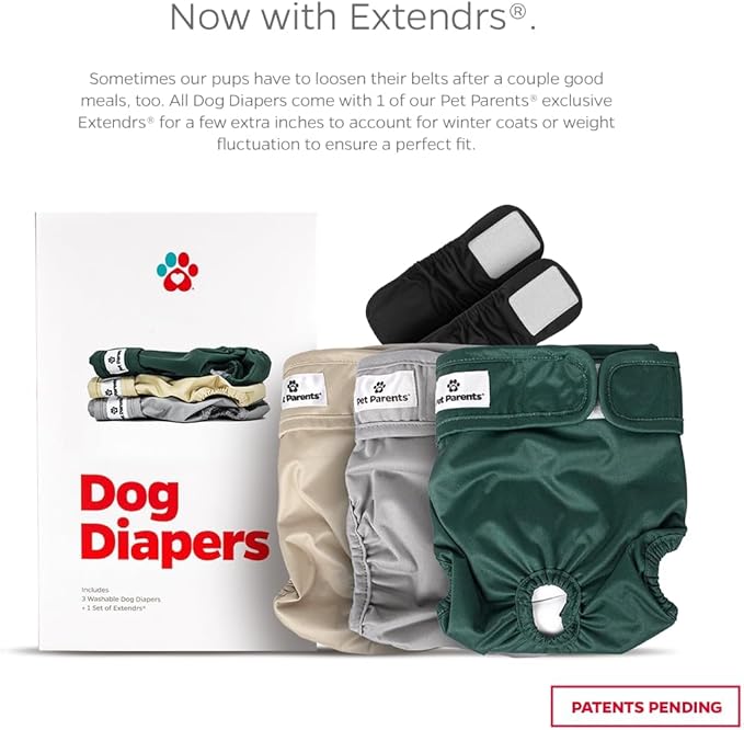 Pet Parents® Washable Dog Diapers (3pack) + Extendrs® of Durable Doggie Diapers, Premium Dog Diapers Female (X-Large, Spruce)