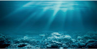 24x16 in Undersea Aquarium Backdrop Underwater World Fish Tank - 24x12in/60x30cm