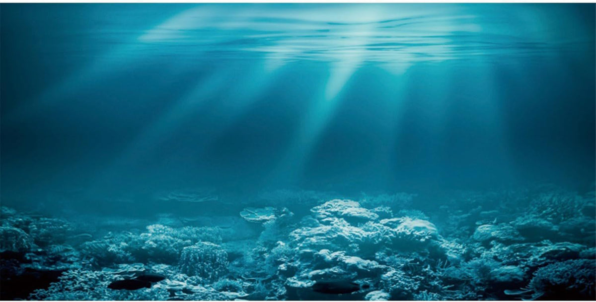 24x16 in Undersea Aquarium Backdrop Underwater World Fish Tank - 24x12in/60x30cm