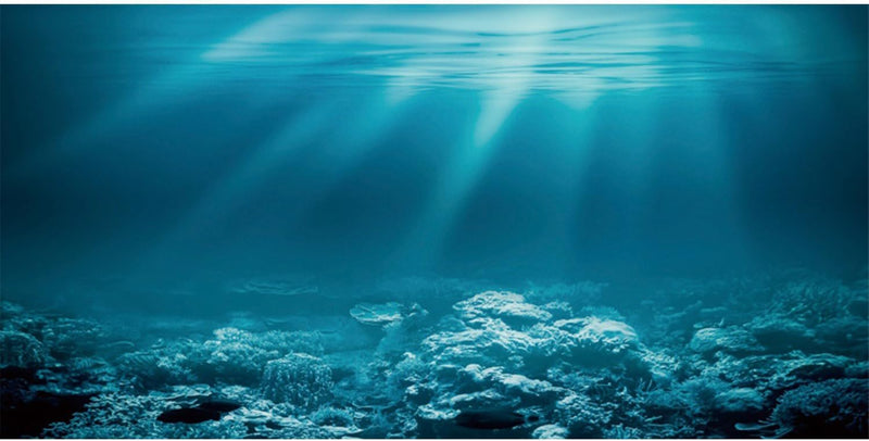 24x16 in Undersea Aquarium Backdrop Underwater World Fish Tank - 24x12in/60x30cm