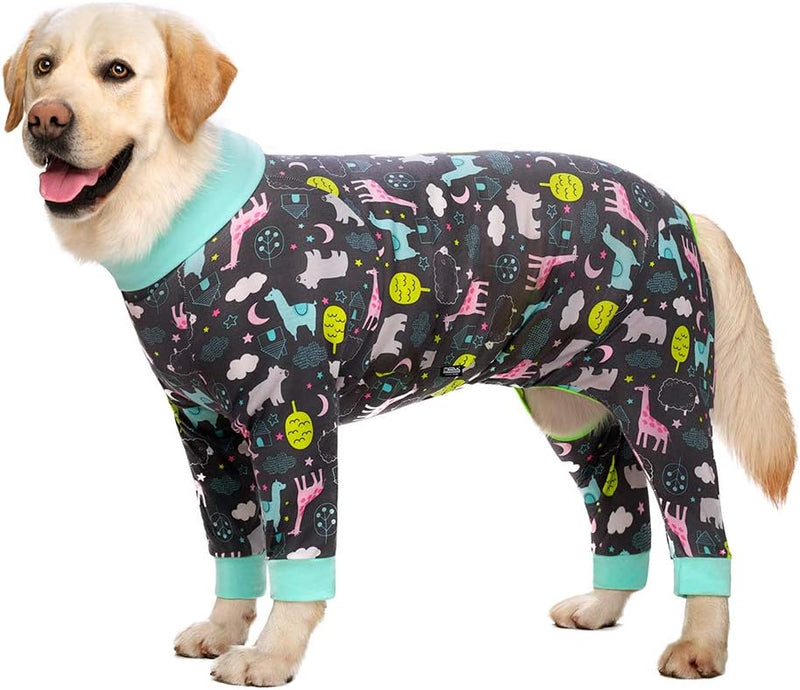 Dog Surgery Recovery Suit Female Male for Dogs After Surgery Medium - 38 (Chest 42.52 in | Backlength 27.95 in) / Dark gray