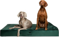 Large Dog Bed Orthopedic Memory Foam Cooling Gel 35x25x8.7 in – Essentials for Dogs - Dark Green - VE / XX-Large