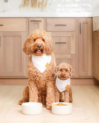 Remy+Roo Silicone Dog Food Mat for Pet Bowls - Sand - image 2