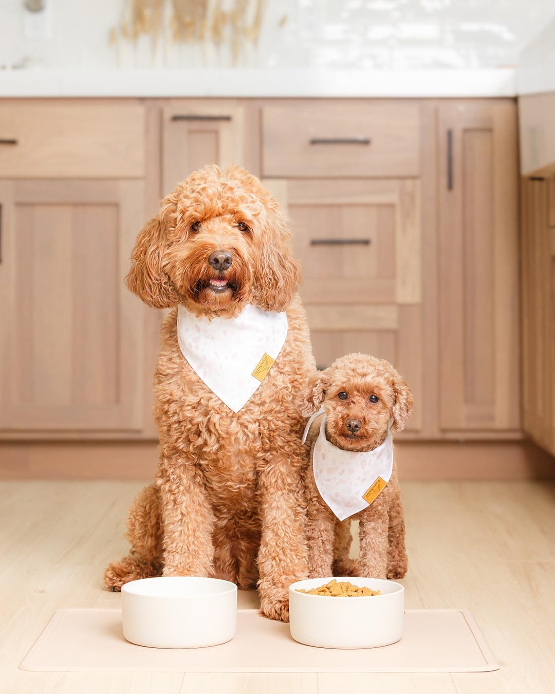 Remy+Roo Silicone Dog Food Mat for Pet Bowls - Sand - image 2