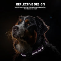 Upgraded AirTag Dog Collar, IP68 Waterproof Air Tag Dog Collar Holder, Reflective, Ultra-Durable, Comfortable Padded, Heavy Duty Dog Collars for Small Medium Large Dogs (XS (10.25"-13"), Purple)