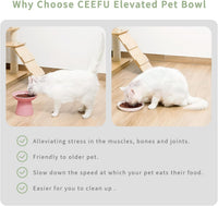 2-Pack Elevated Ceramic Cat Bowls Extra Wide for Food & Water – Essentials for Cats - Pink - image 3