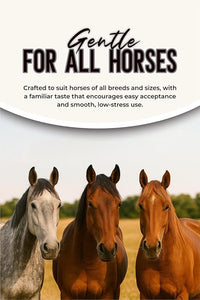 Horse Paste 1.87% – Apple Flavored Wormer – 6.08g Tube – Treats Up to 1250 lb (4 Pack)