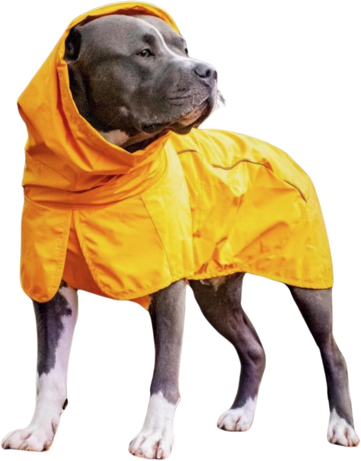 Spark Paws Dog Raincoat, Waterproof Rain Jacket w/Hood - 01 - Mustard Yellow / 3XL