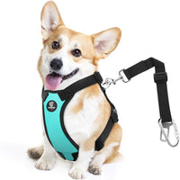 Dog Seat Belt Vest Harness for Car - Blue / M (Chest: 19.7-26.4", Neck: 12.6-20.5")