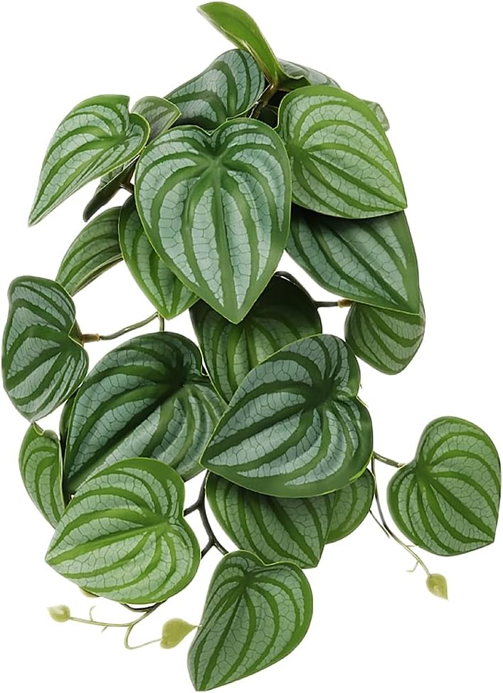 Fake Calathea Orbifolia, Reptile Terrarium Suction Plants – Essentials for Fish - Fake Calathea Orbifolia