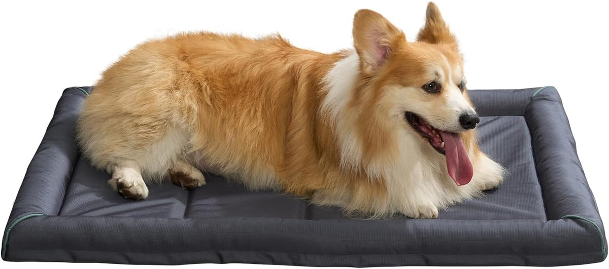 BALANCE Oxford Dog Bed for Large Dogs - 42.0"L x 28.0"W x 3.0"Th