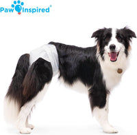 Paw Inspired 32ct Disposable Dog Diapers - Large (20 Count) - image 3