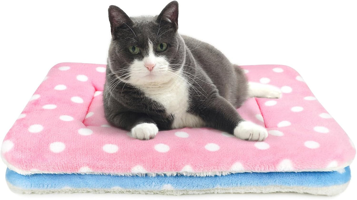2 Pack Cat Blanket for Indoor Cats - Polka Dots / 31X22 in