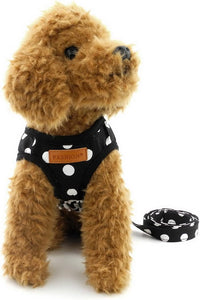 Step-in Dog Harness and Leash Set for Small Dogs - S / black - image 3