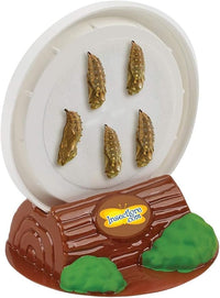 Insect Lore Butterfly Garden with 5 Live Baby Caterpillars - STEM Activity Journal, Habitat, Chrys-A-Lid Holder and Feeder Included | Raise and Release Painted Lady Butterflies