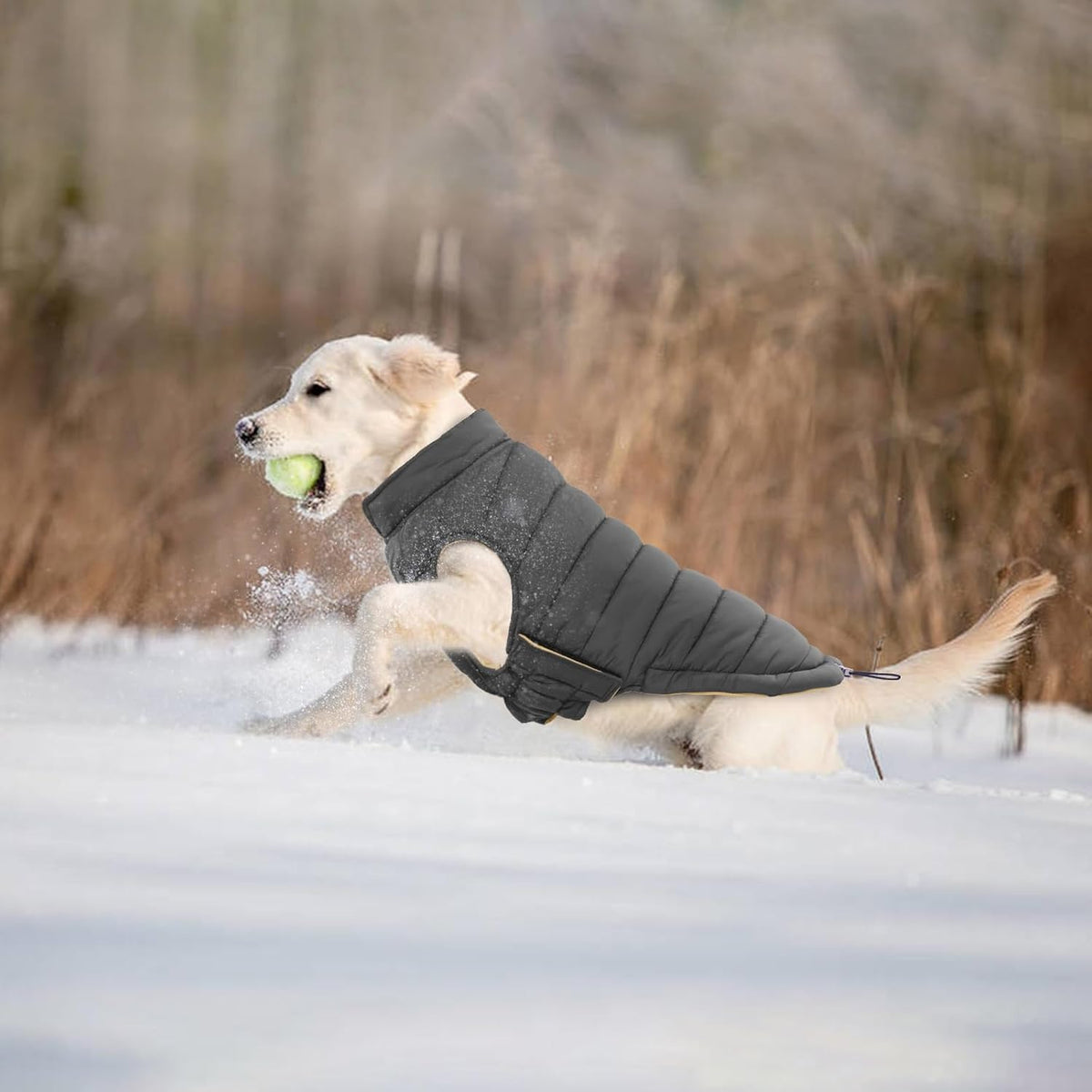 Lelepet Reversible Dog Coat Windproof Dog Jacket Lightweight Puffer - Small / Gray - image 4