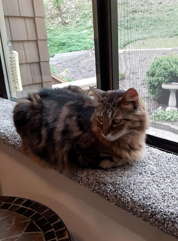 Purrched Cat Window Perch – Essentials for Cats - image 2