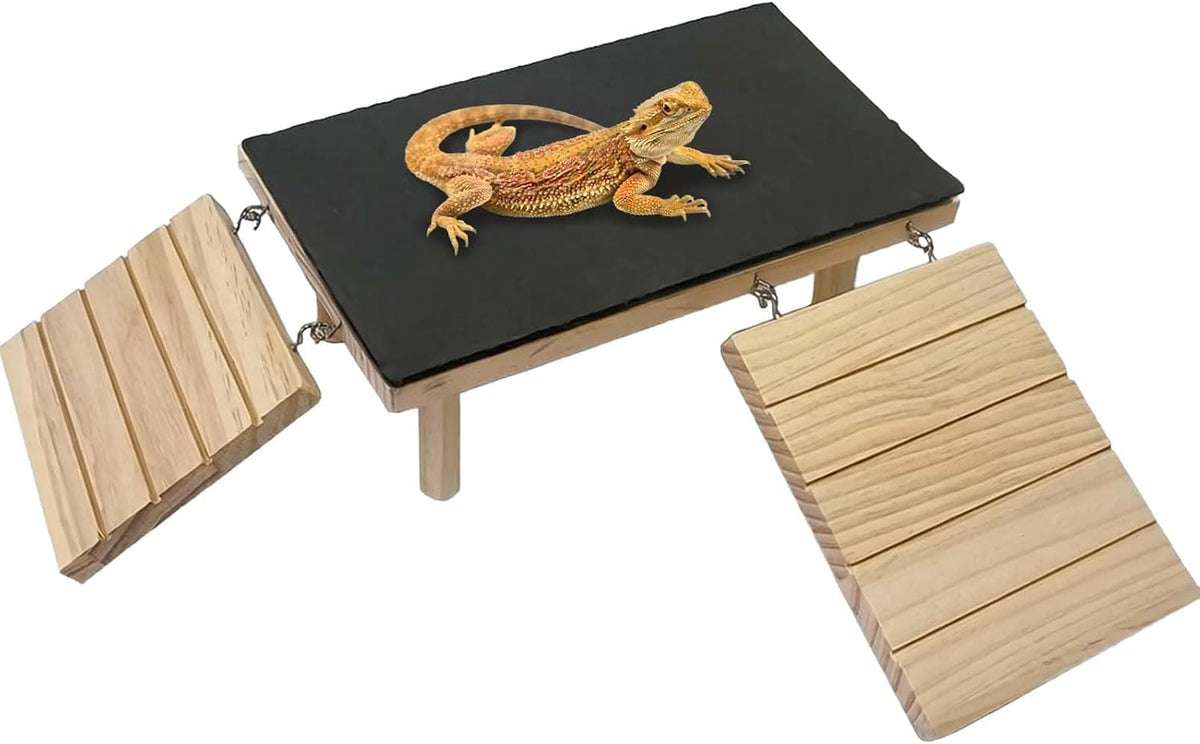 Reptile Bearded Dragon Basking Platform Rock with Climbing Ramp - XXL - 15.7"D x 7.9"W x 4.7"H