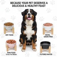 Elevated/Raised Ceramic Dog Bowl with Bamboo Stand，6 Inch 3.6 Cups - Black / Large - image 4