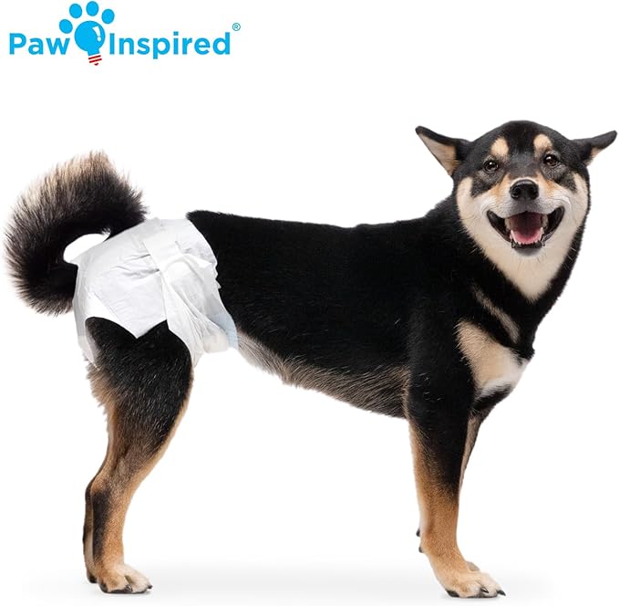Paw Inspired Disposable Dog Diapers | Female Dog Diapers Ultra Protection | Diapers for Dogs in Heat, Excitable Urination, or Incontinence (144 Count, Medium)