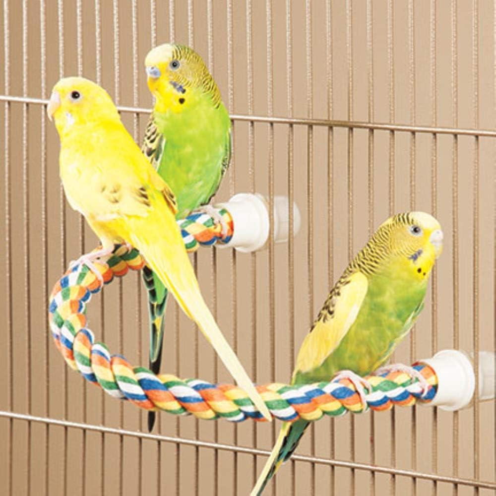 JW Pet Comfy Perch For Birds Flexible Multi-color Rope - Medium / 21" - image 4