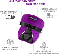 Comfort Fit Dog Harness No Pull with Adjustable Buckles Soft Padded Reflective Choke Step-in Pet Vest with Easy Control Handle for Small Medium Large Dogs & Puppies for Walking Running Training