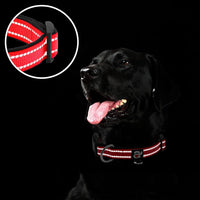 Reflective Dog Collar, Neoprene Padded Small Dog Collar, S - Large (Pack of 1) / Red - image 4