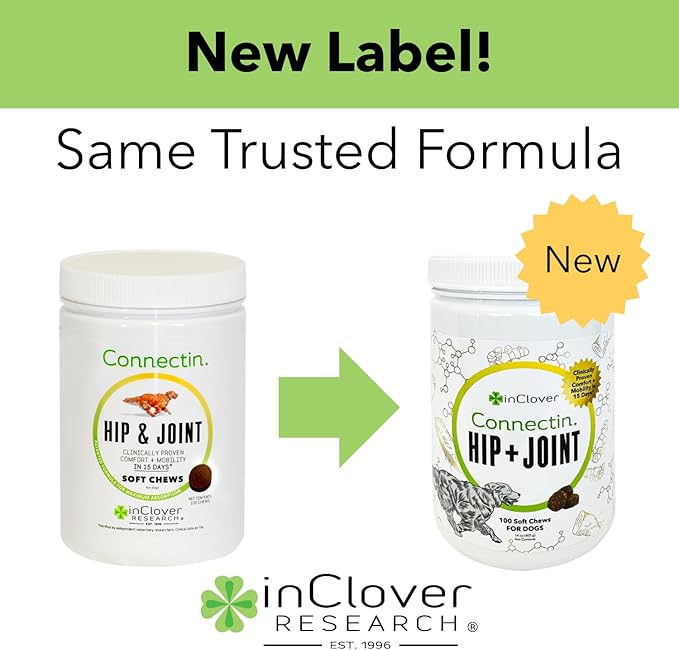 InClover Connectin Natural Hip & Joint Supplement for Dogs with Glucosamine, Chondroitin & Hyaluronic Acid - Soft Chew for Dog Mobility, Comfort & Active Lifestyle Support, 300 Count