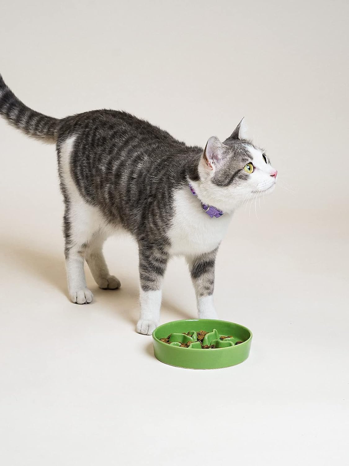 Ceramic Slow Feeder Dog Bowls Small Breed - Green / S-0.5 Cups - image 4