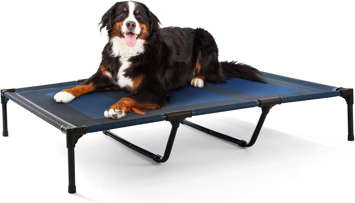 petizer XL Elevated Dog Beds for Large Dogs 48x36x9'' - 48"L x 36"W x 9"H / Blue
