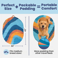 Travel Dog Bed, Foldable & Packable with Carry Bag, Black - Sunset Surf / Medium - image 2