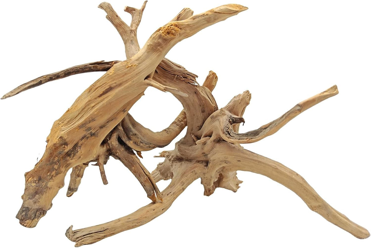 5PCS Driftwood for Aquarium 7-9in Natural Reptile Spider Wood - Large:spiderwood 7-10in 2PCS