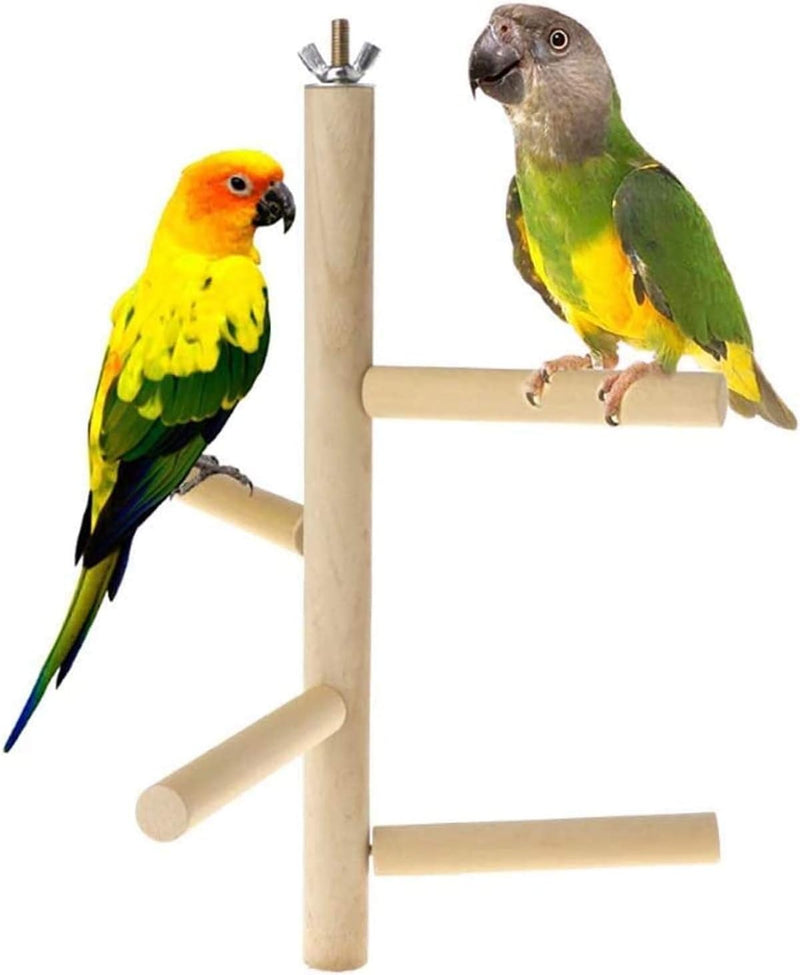 Natural Bird Perch Stand for Cage Multi Branch Perches for Parakeet – Essentials for Birds