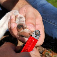 Guillotine Style Dog Nail Clippers for Large Dogs and Cats - Cat / Nail Clipper - image 2