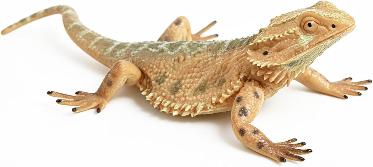 Rich Boxer 5 inch bearded dragon figurine, detailed plastic lizard for home and garden decor