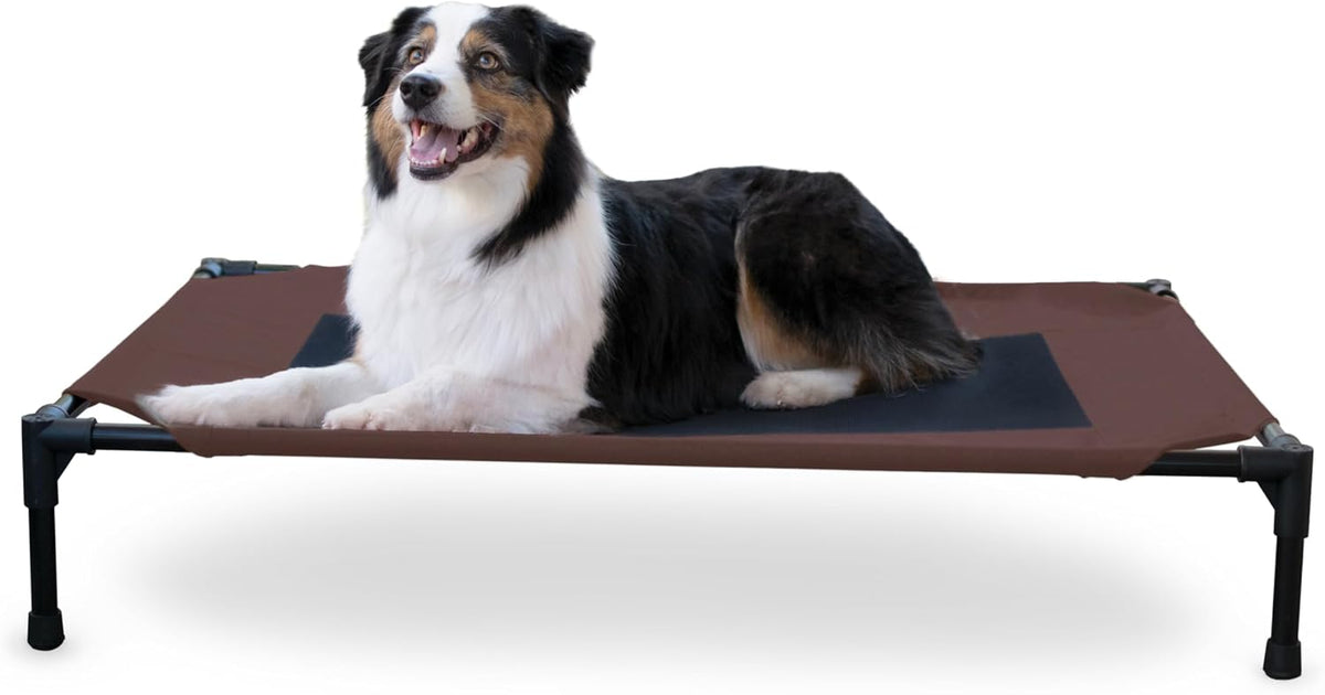 K&H Outdoor Elevated Dog Bed for Small & Medium Pets, Tan - Chocolate/Black Mesh / Large 42"L x 30"W